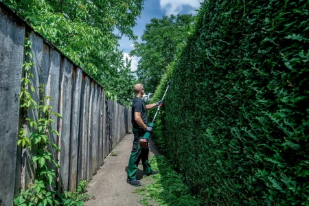 cb3244aaef46c58b68d192a222c7ff29