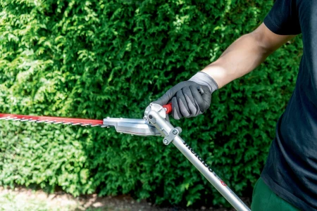 fa831fcab8641a8e4edafe4b73c01d83